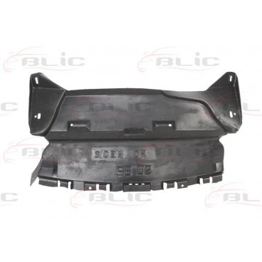 Scut motor/cutie viteze