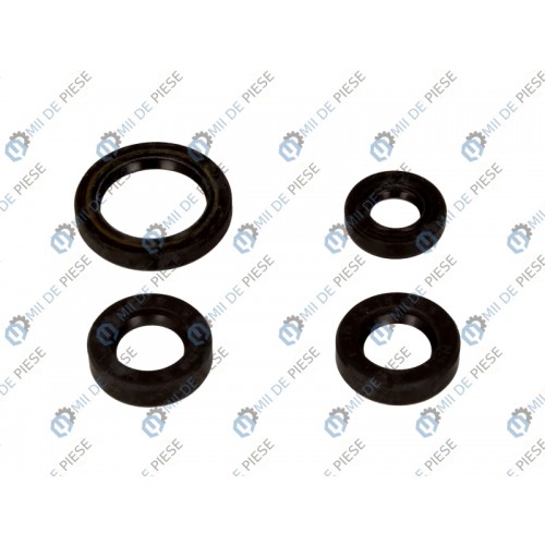 Set garnituri motor