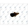 Senzor temperatura aer admisie