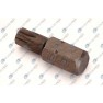 10mm TORX gaura