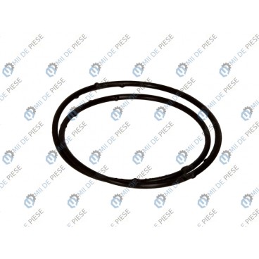 Etansare cutie viteze/element etansare