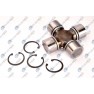 Pinion satelit planetara