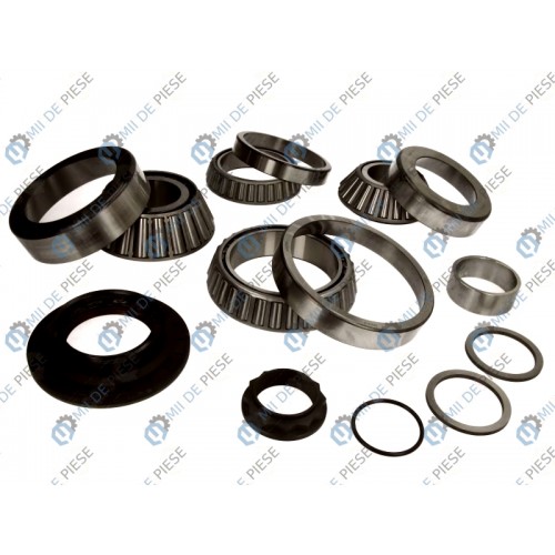 Kit reparatie axa spate