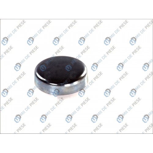 Capac motor