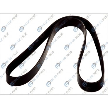 Curea transmisie canelata