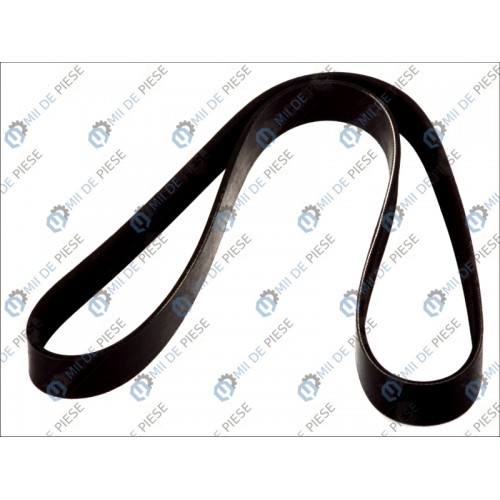 Curea transmisie canelata