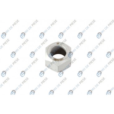 Leaf spring fixing nut