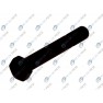 Leaf spring fixing bolt