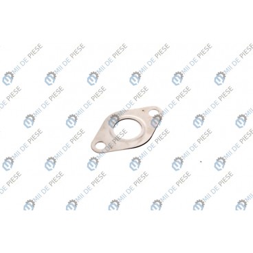 Garnitura supapa EGR