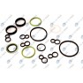 Set complet garnituri, motor