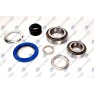 Kit reparatii butuc roata