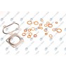 Set complet garnituri, motor