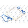 Set garnituri motor