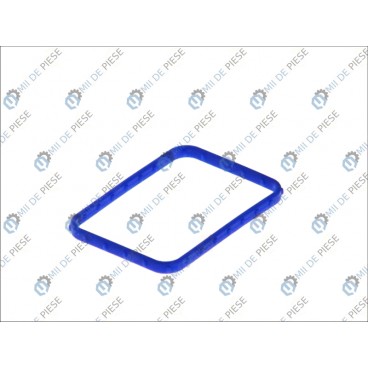 Garnitura capac termostat