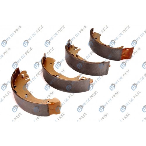 Sabot frana