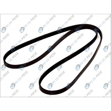 Curea transmisie canelata