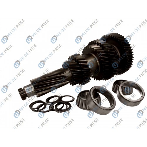 Arbore primar cutie viteze Arbore primar cutie viteze