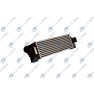 Radiator aer