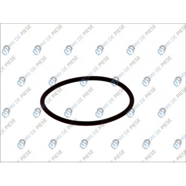 Rubber O-Rings