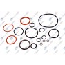 Set complet garnituri, motor