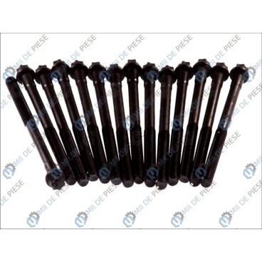 Set bolturi chiulasa