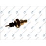 Senzor tempertura lichid racire