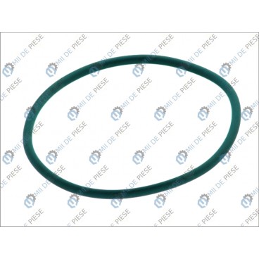 Inel camasa cilindru