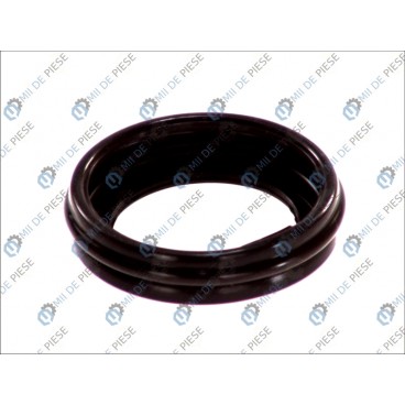 Kit reparatie etrier frana