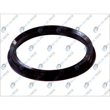 Locas garnitura filtru de combustibil