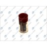Duza injector conventional