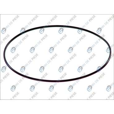 Inel camasa cilindru