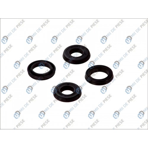 Kit reparatie pompa centrala frana