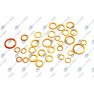Set complet garnituri, motor