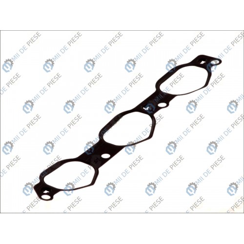 Garnitura galerie admisie/evacuare