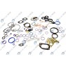 Set complet garnituri, motor