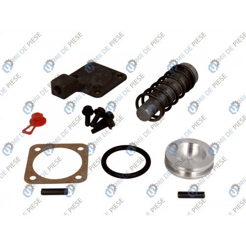 Kit reparatie axa spate