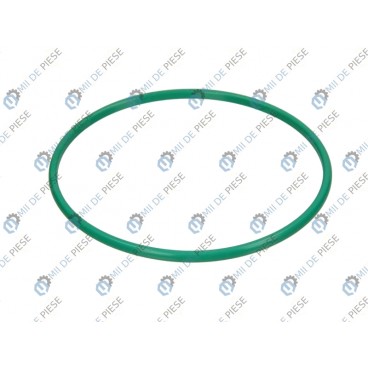 Garnitura pompa combustibil