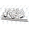 Set complet garnituri, motor