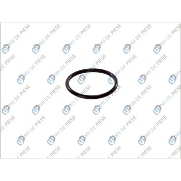 Garnitura conducta radiator