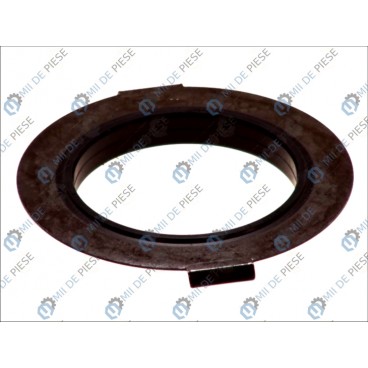 Etansare cutie viteze/element etansare