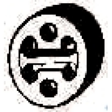 Tampon sistem evacuare