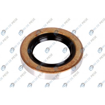 Garnitura diferential