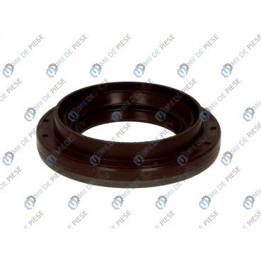 Simering ax cardanic