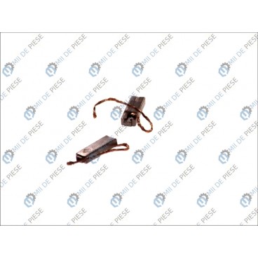 Perii alternator