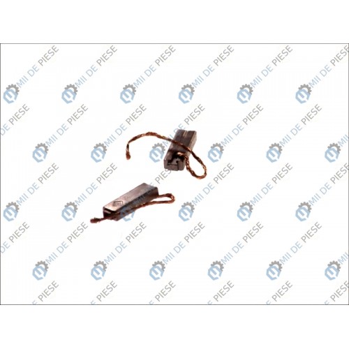 Perii alternator