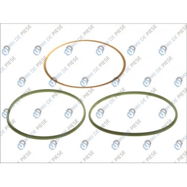 Set garnituri cilindru