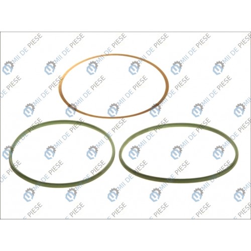 Set garnituri cilindru