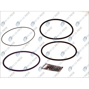 Set garnituri cilindru