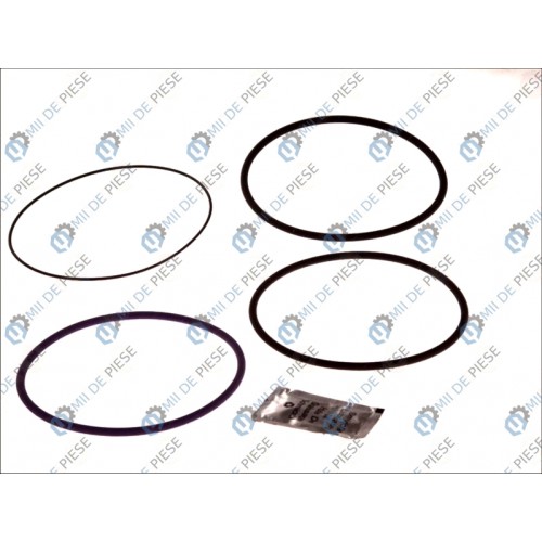 Set garnituri cilindru