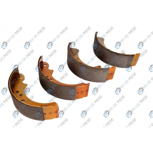 Sabot frana